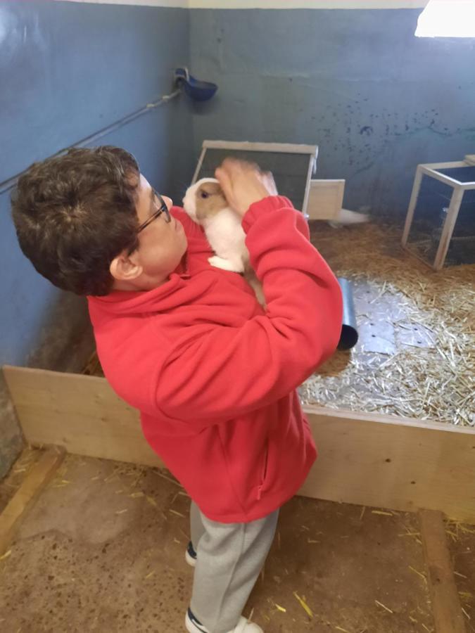 فيلا Hoevetoerisme Op 'T Zand NeerNeerpelt المظهر الخارجي الصورة